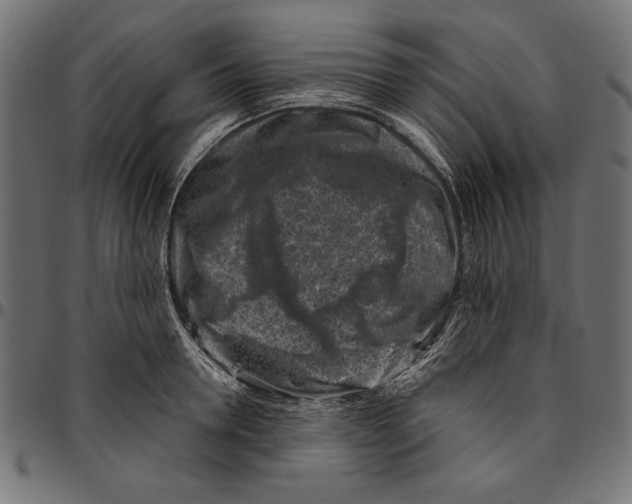 X0000094770946200712141555