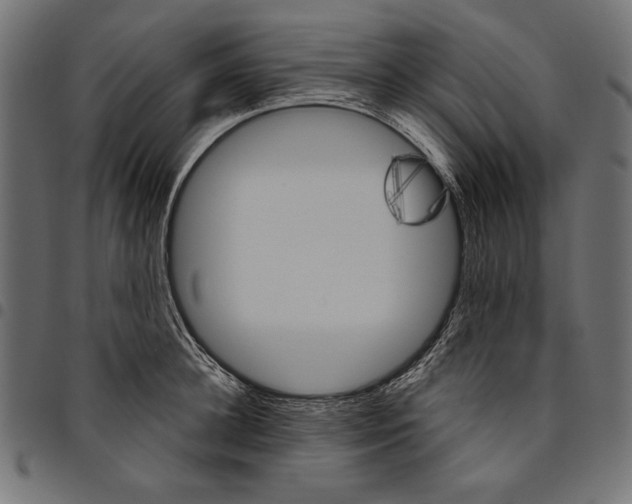 X0000094770948200712141555