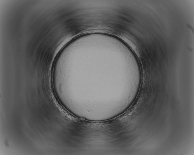 X0000094770949200712141555