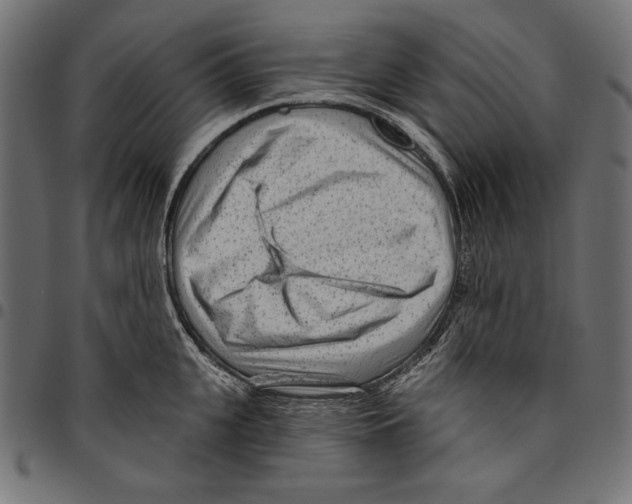 X0000094770951200712141555