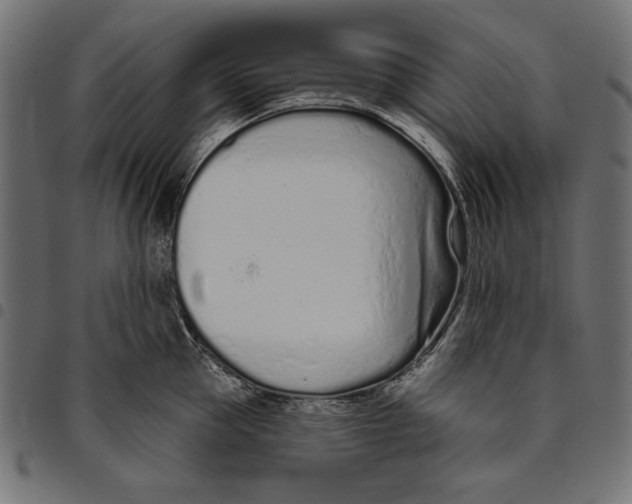 X0000094770953200712141555