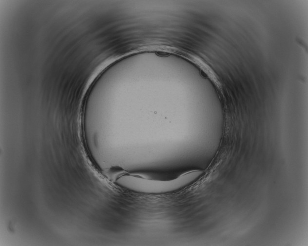 X0000094770955200712141555