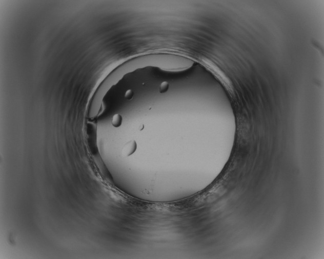 X0000094770956200712141555