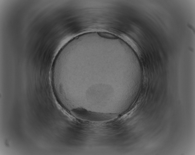 X0000094770958200712141555