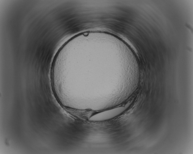 X0000094770959200712141555