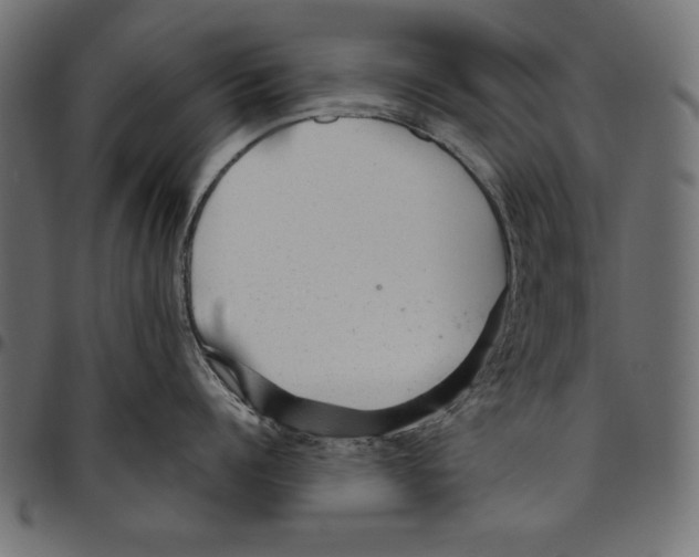 X0000094770960200712141555