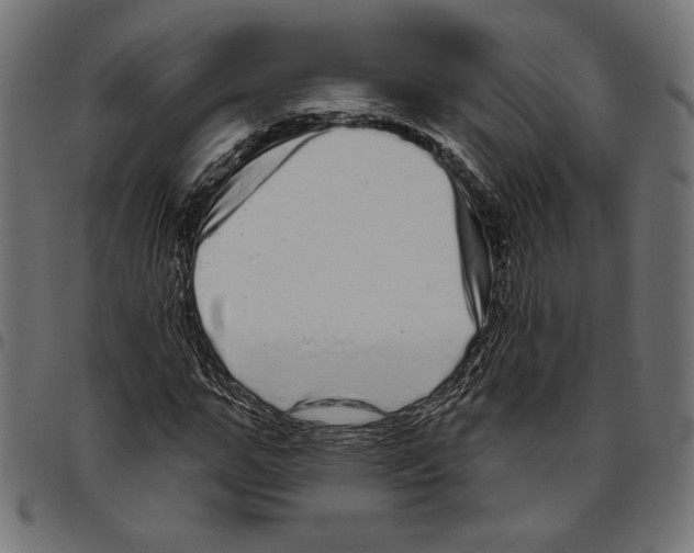 X0000094770967200712141554