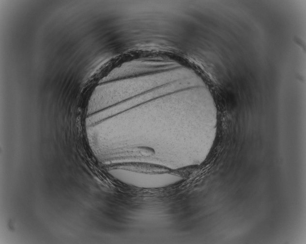 X0000094770968200712141554