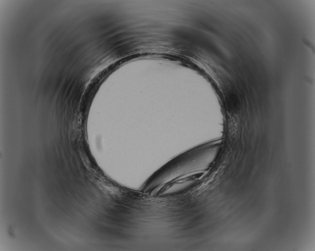 X0000094770971200712141554