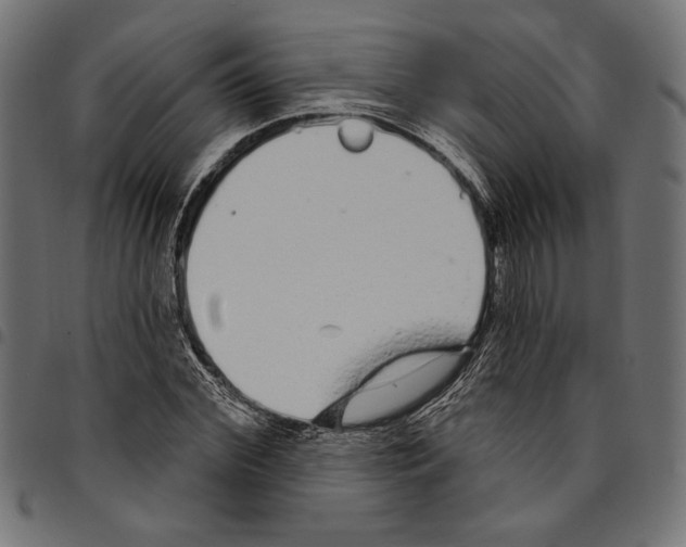 X0000094770972200712141554