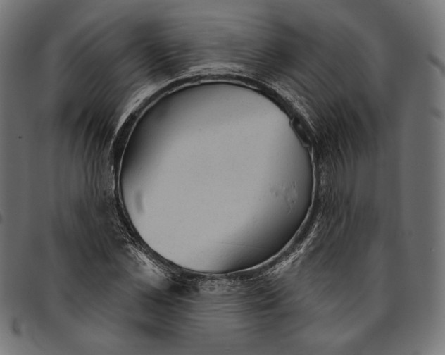 X0000094770973200712141554