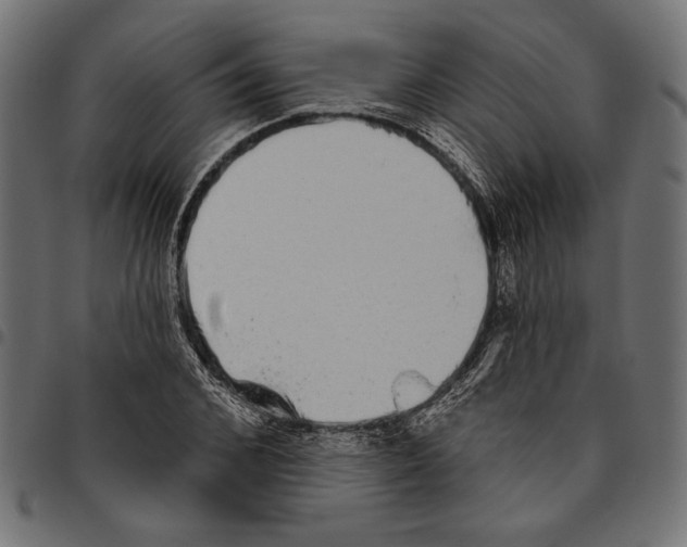 X0000094770976200712141554