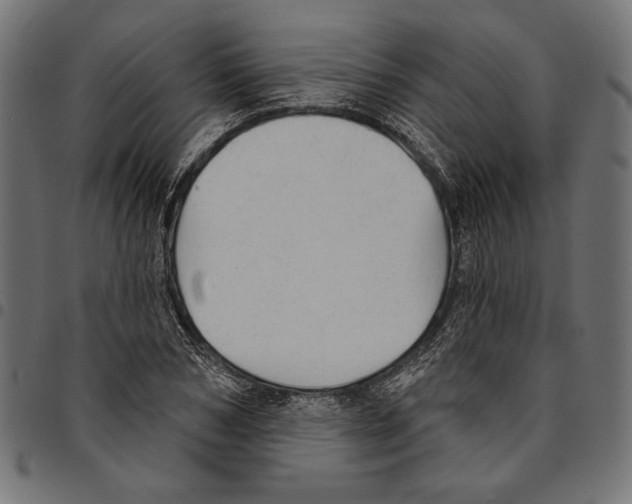 X0000094770978200712141554