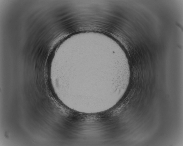 X0000094770979200712141554