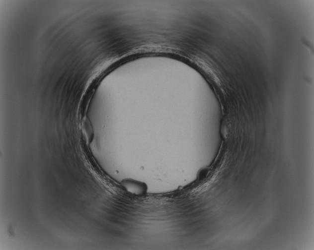 X0000094770981200712141554