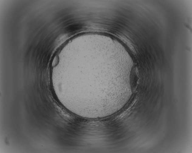 X0000094770982200712141554