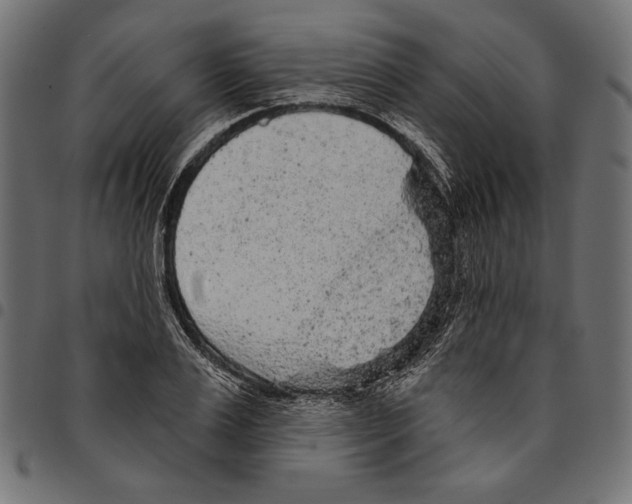 X0000094770983200712141554