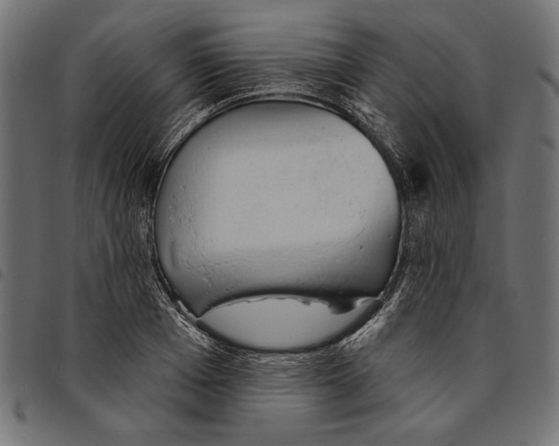 X0000094770985200712141554