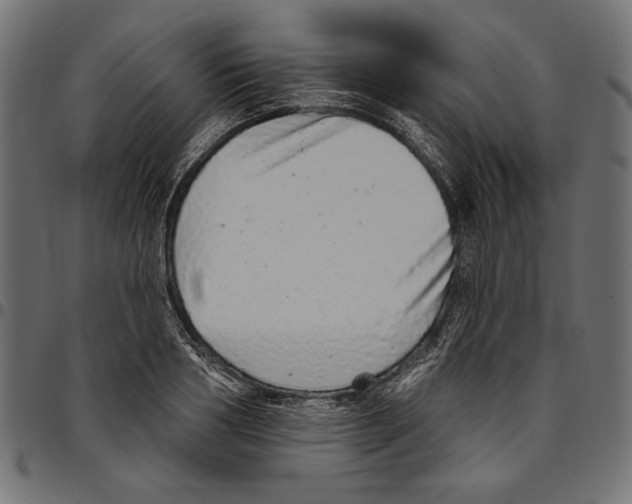 X0000094770986200712141554