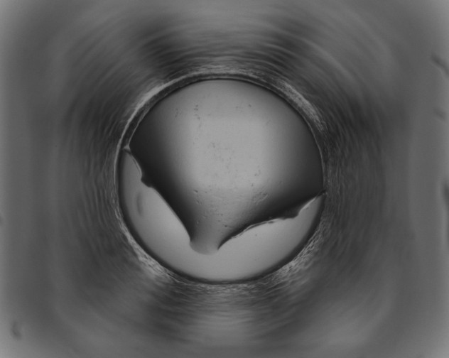 X0000094770988200712141554