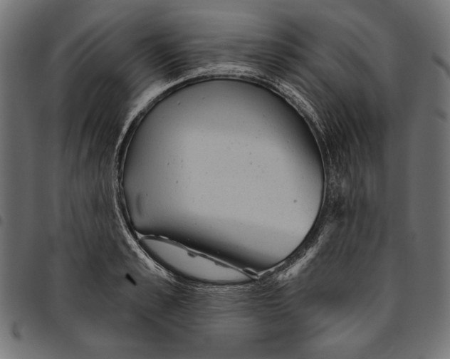 X0000094770989200712141554