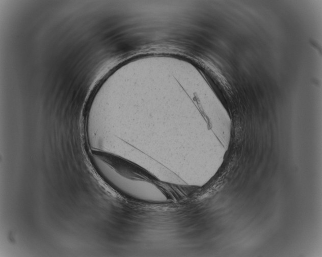 X0000094770990200712141554