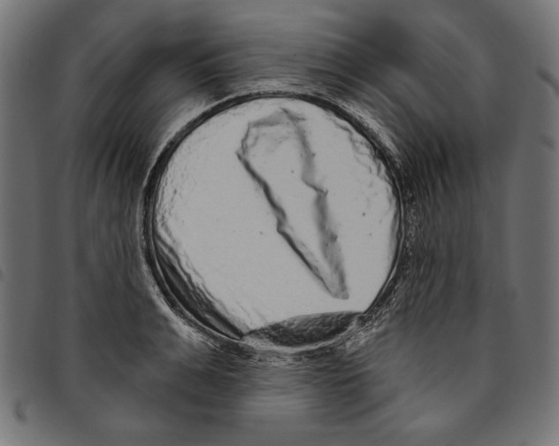 X0000094770991200712141554