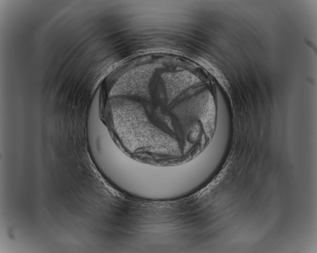 X0000094770993200712141554