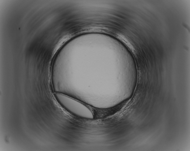 X0000094770994200712141554