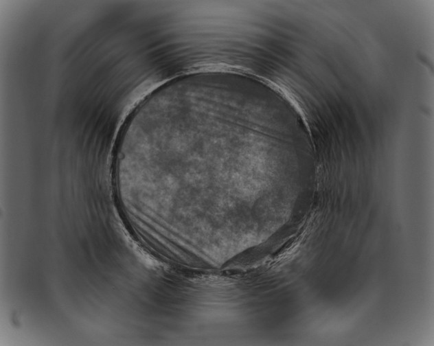 X0000094770995200712141554