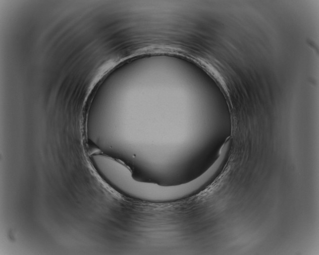 X0000094770997200712141554