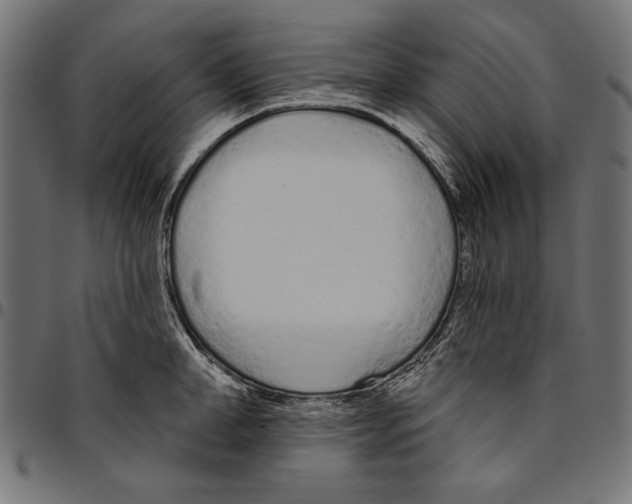 X0000094770998200712141554