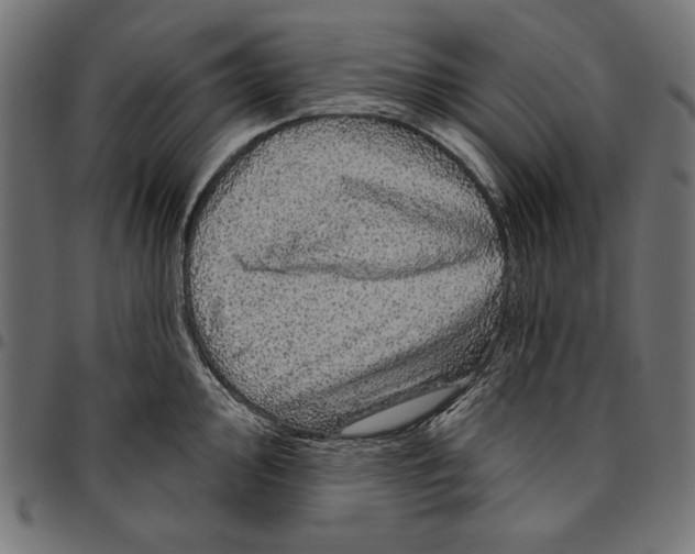 X0000094771000200712141554