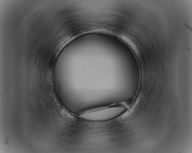 X0000094771001200712141554