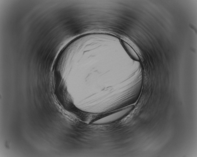 X0000094771004200712141553