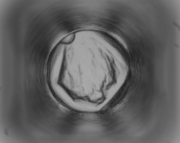 X0000094771007200712141553