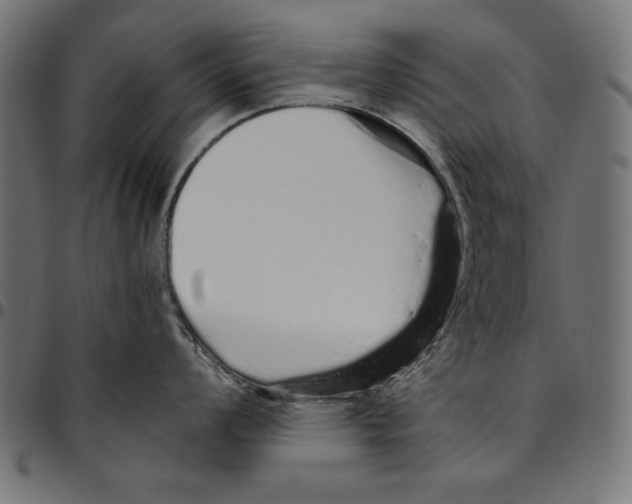 X0000094771008200712141553