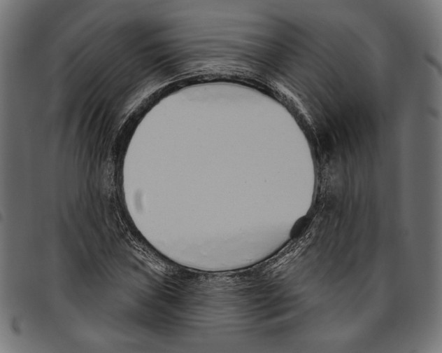 X0000094771019200712141553