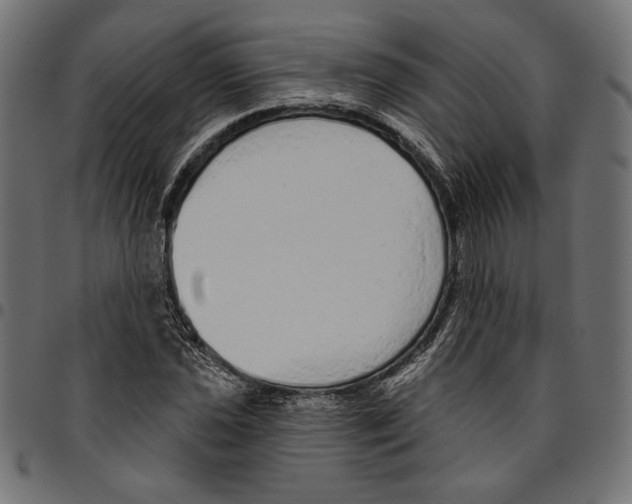 X0000094771021200712141553