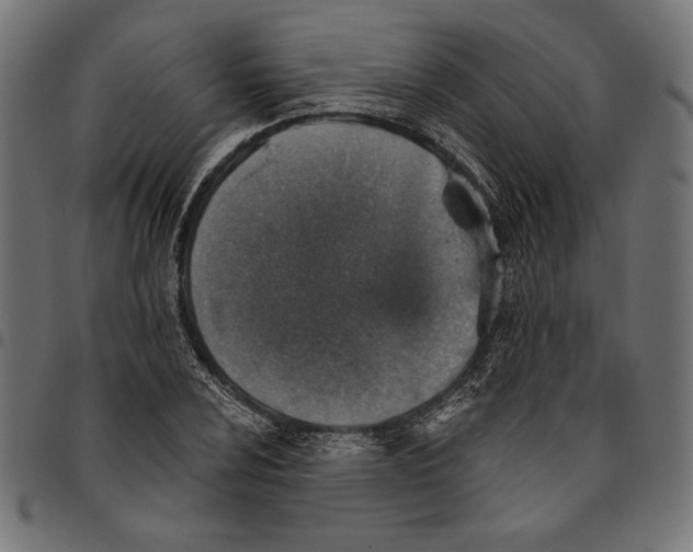 X0000094771024200712141553