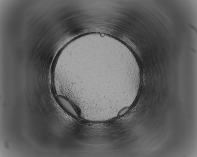 X0000094771028200712141553