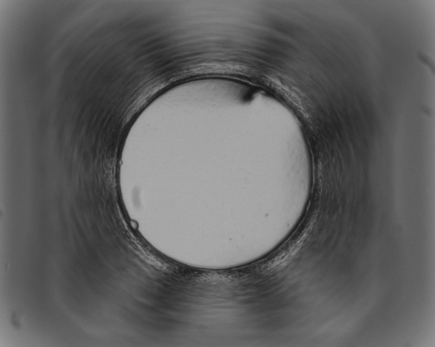 X0000094771033200712141553