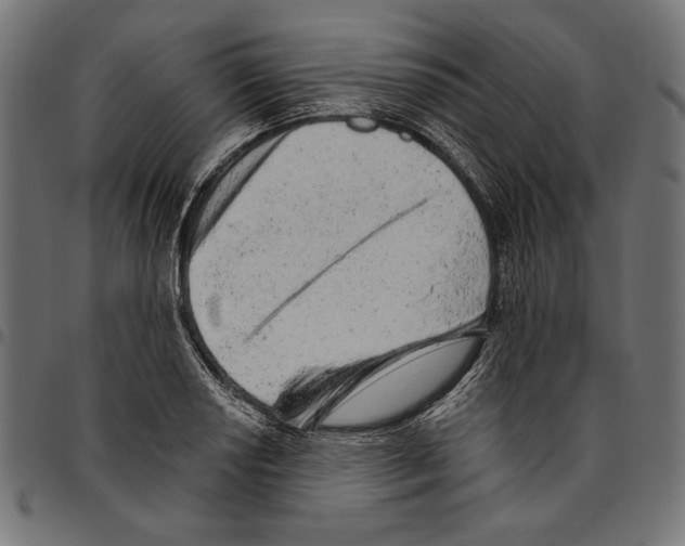 X0000094771034200712141553