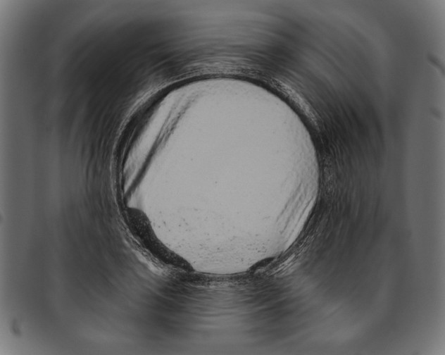 X0000094771035200712141553