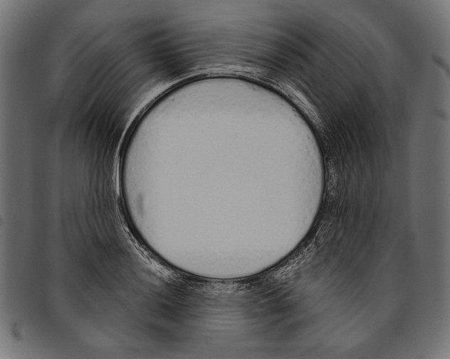 X0000094771036200712141553