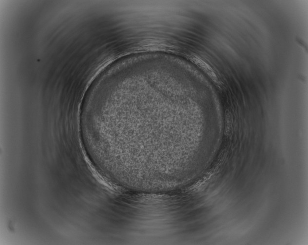 X0000094771039200712141553