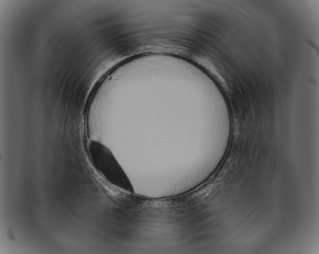 X0000094771040200712141553