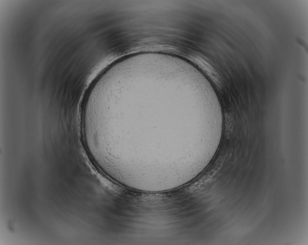 X0000094771046200712141553