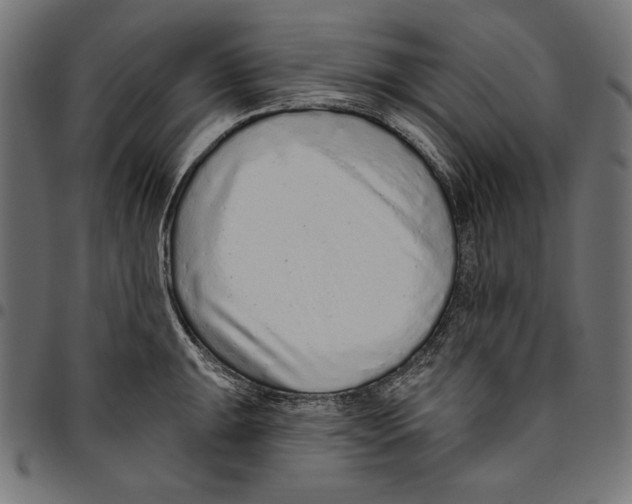 X0000094771047200712141553