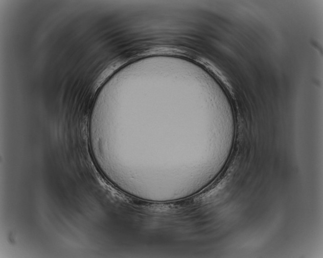 X0000094771049200712141553